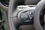 Mini Paceman