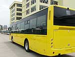 Golden Dragon 6125