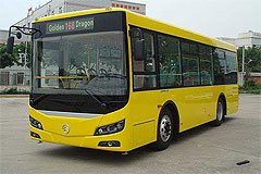 Photos Golden Dragon 6845