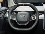 Neta V