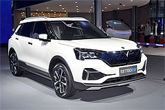 Фото Venucia T60 EV
